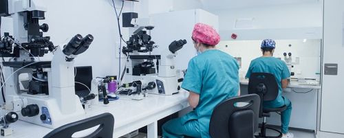 Criopreservación o vitrificación de ovocitos – Preservación de la Fertilidad Grupo UR