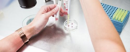 Cariotipo en sangre periférica Grupo UR