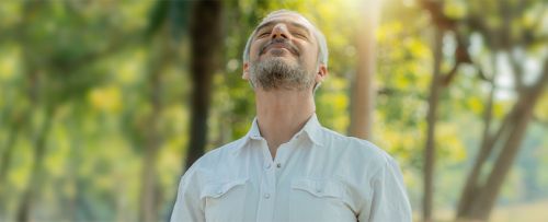 Estudio genético inmuno detox