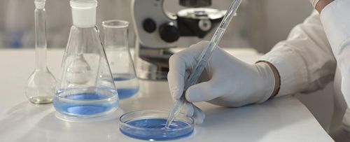 Criopreservación ovocitos: vitrificación