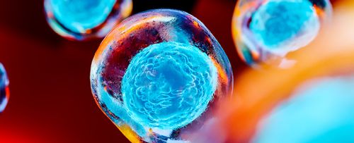 Congelación de embriones