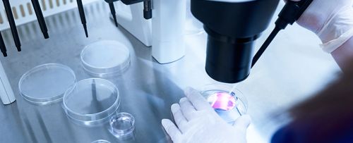 Inseminaci&oacute;n artificial conyugal (IAC)